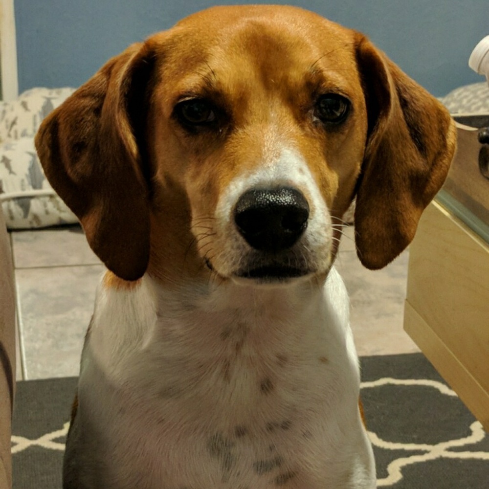 Meet your Posher, Beverly